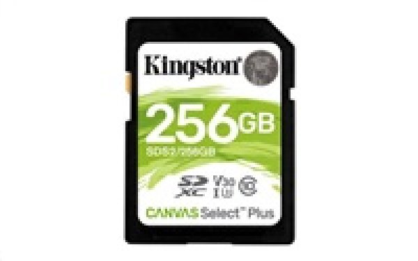 KINGSTON SD card SDXC 256GB Canvas Select Plus