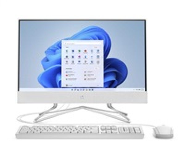 HP 22/dd2010nc/21,5''/FHD/J4025/8GB/512GB SSD/UHD 600/W11H/White/2R