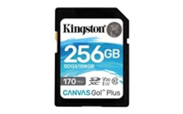 KINGSTON SD card SDXC 256GB Canvas Go! Plus