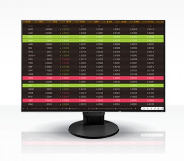 24'' LED EIZO EV2456-WUXGA,IPS,DP,USB,piv,rep,bk